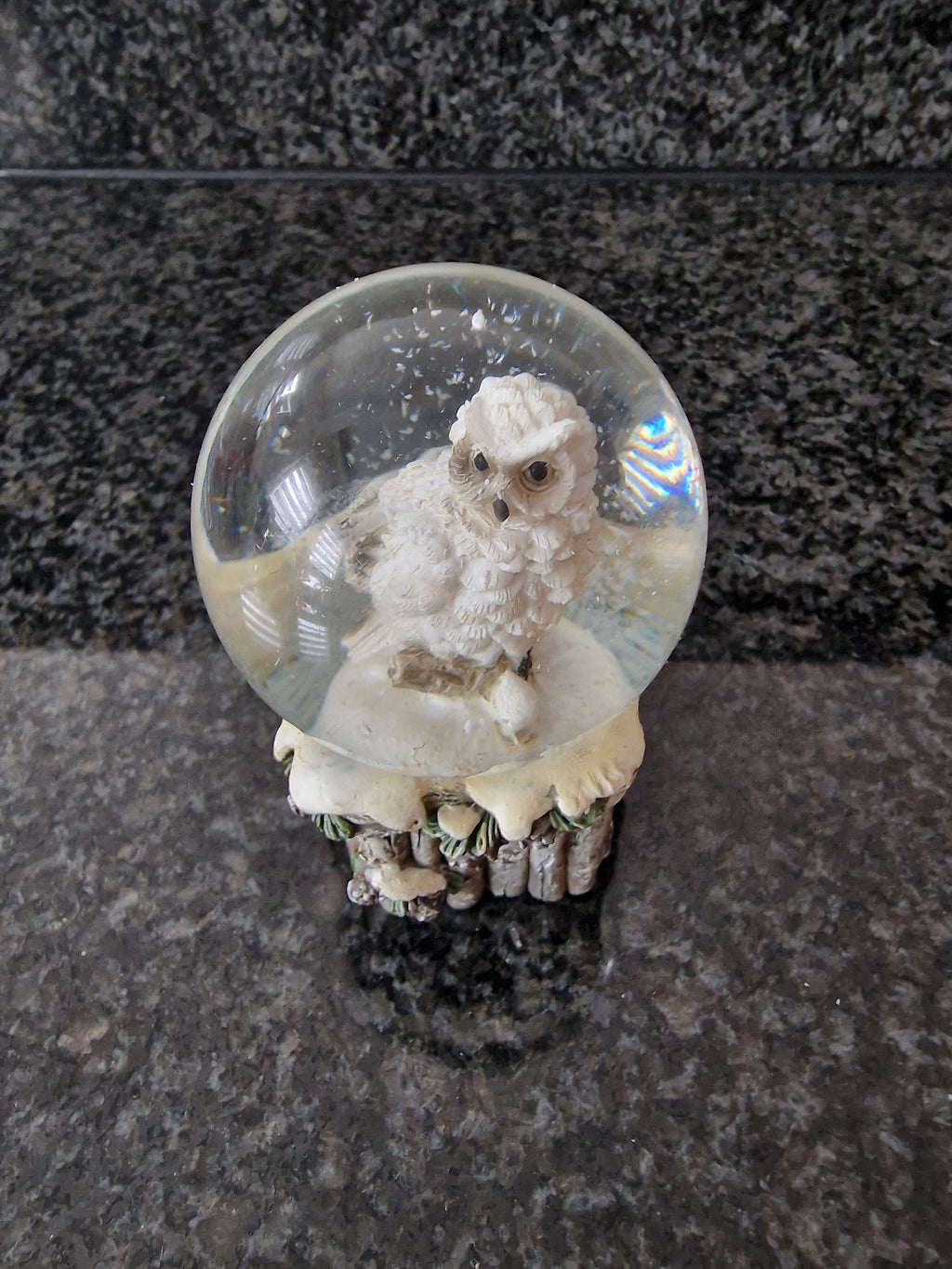 Schneekugel Vogel, Eule Dekor aus Poly, Glas Grau Weihnachten Deko Winter