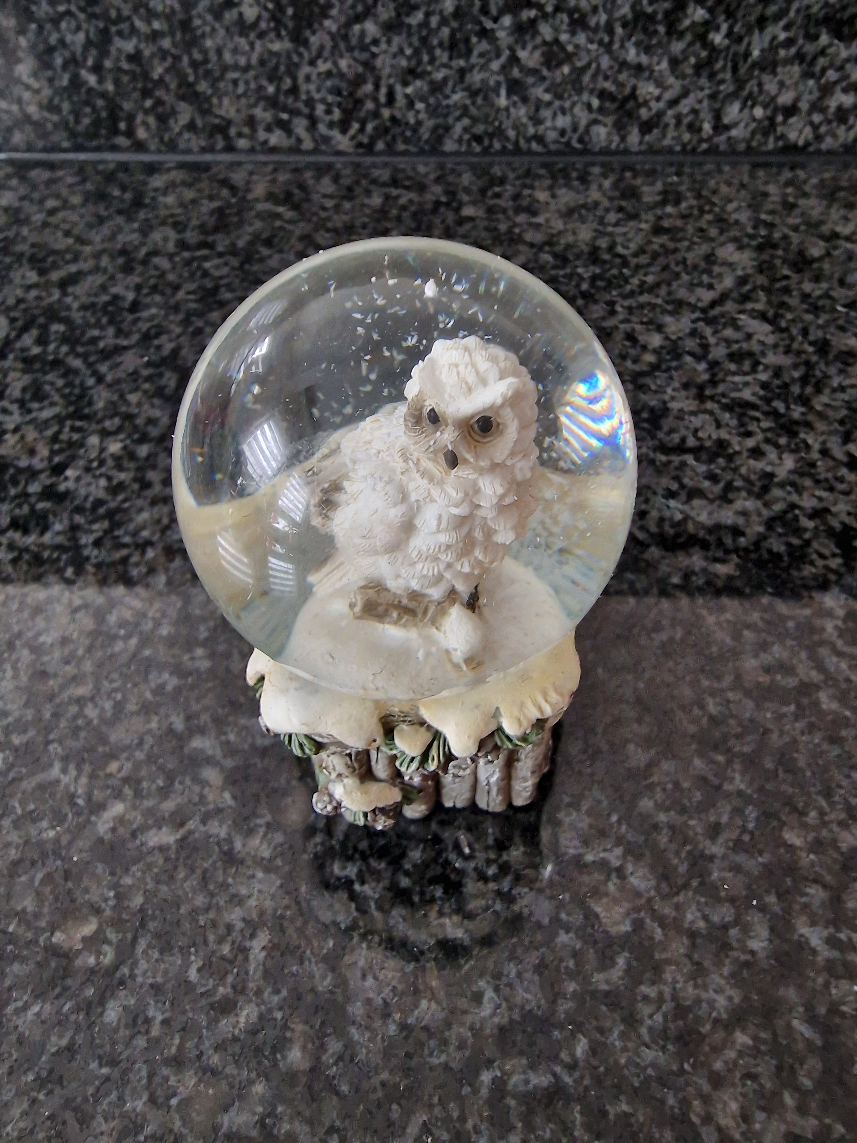Schneekugel Vogel, Eule Dekor aus Poly, Glas Grau Weihnachten Deko Winter