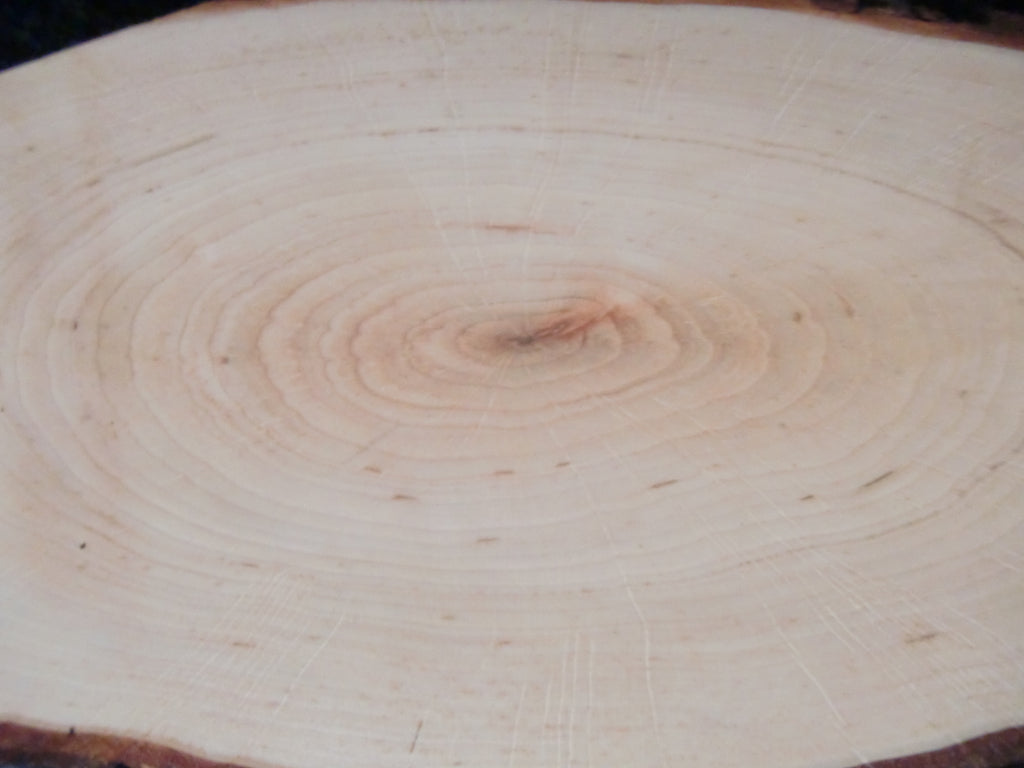 Käsebrett Rinde Schneidbrett Rindenbrett ERLE Holz Deko Servierbrett Baumscheibe