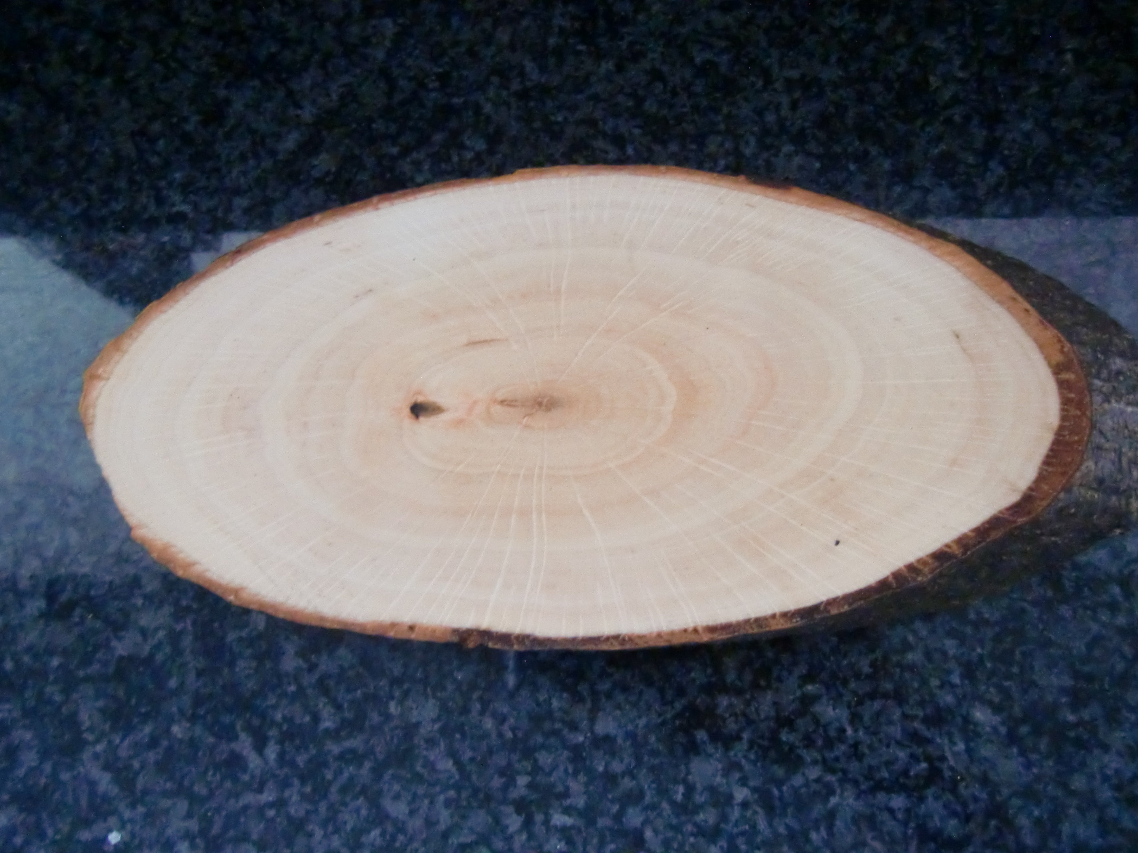 Käsebrett Rinde Schneidbrett Rindenbrett ERLE Holz Deko Servierbrett Baumscheibe