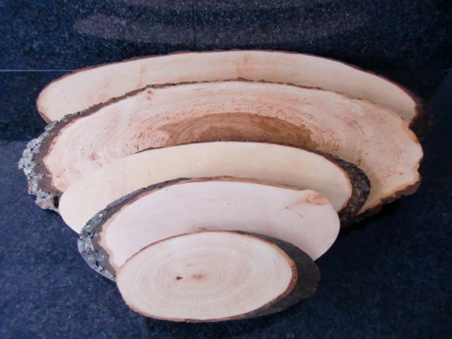 Käsebrett Rinde Schneidbrett Rindenbrett ERLE Holz Deko Servierbrett Baumscheibe
